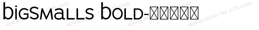 BigSmalls Bold字体转换